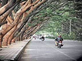 Old Airport Road Escorts Bangalore